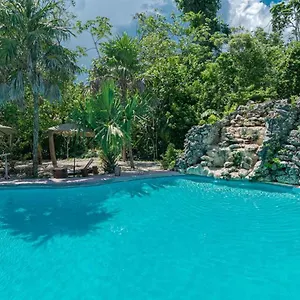 jolie-jungle.quintano-roohotels.com/